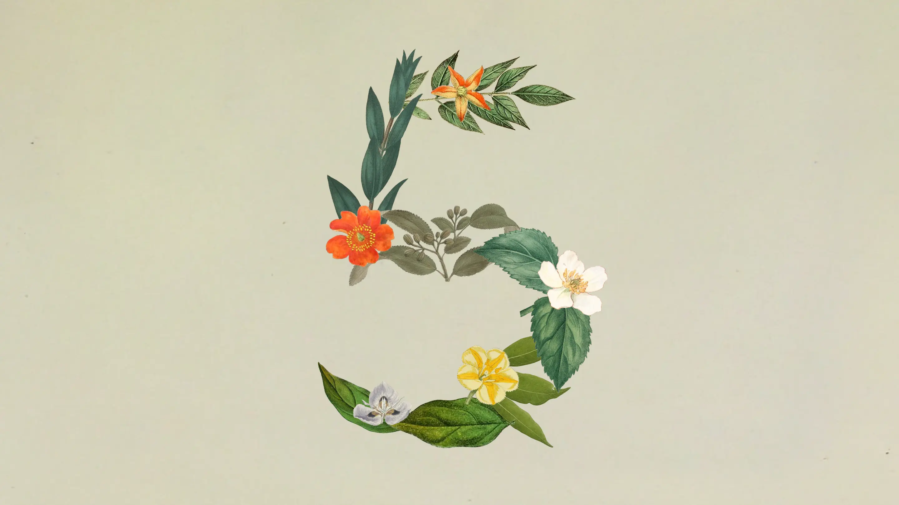 Apresentando o Claude Sonnet 5: codificação agêntica de nível Opus na velocidade Sonnet cover image