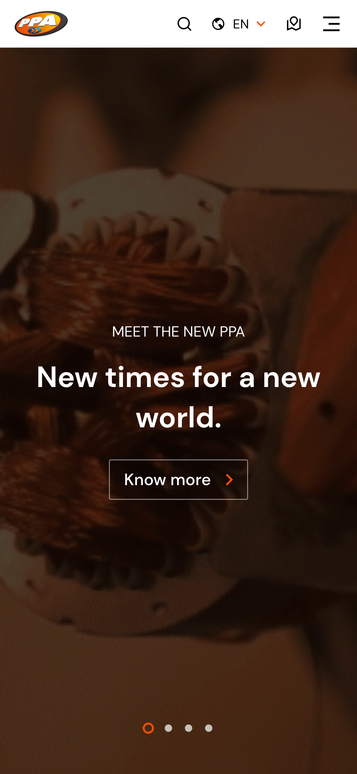 Mobile website preview